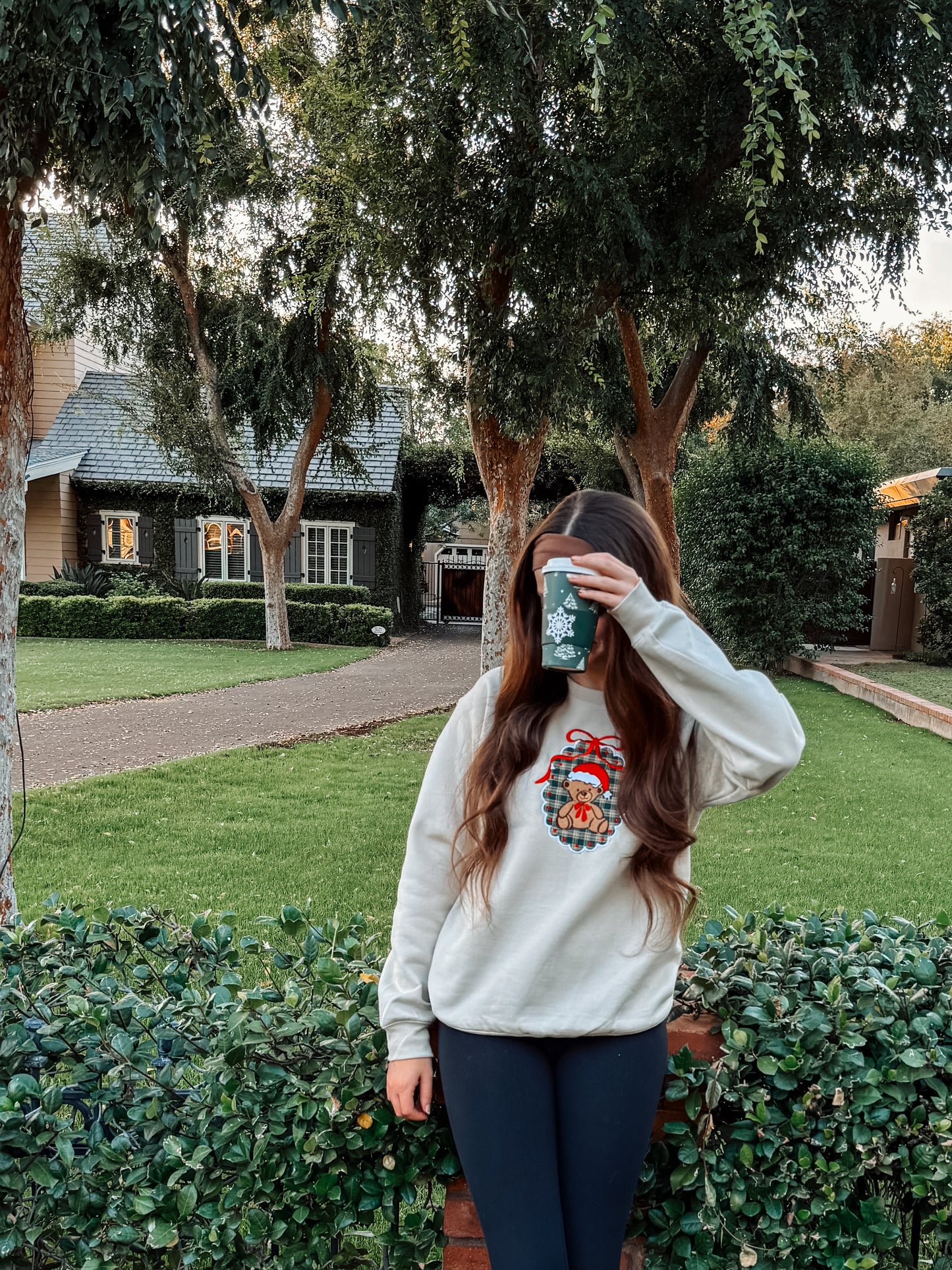 Teddy Bear frame Embroidered sweatshirt