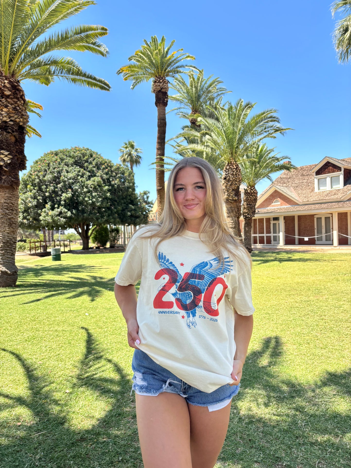WHOLESALE 250 eagle tee
